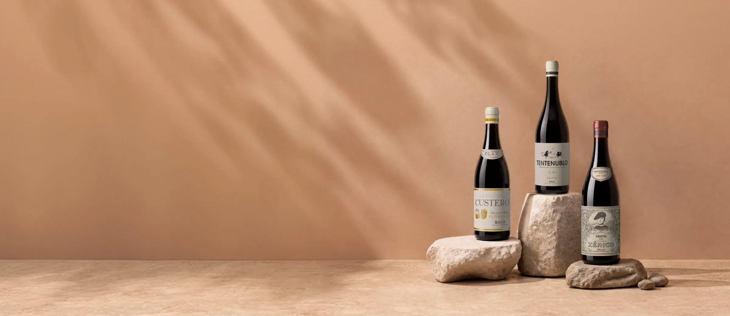Garrafas de vinho da adega Tentenublo Wines