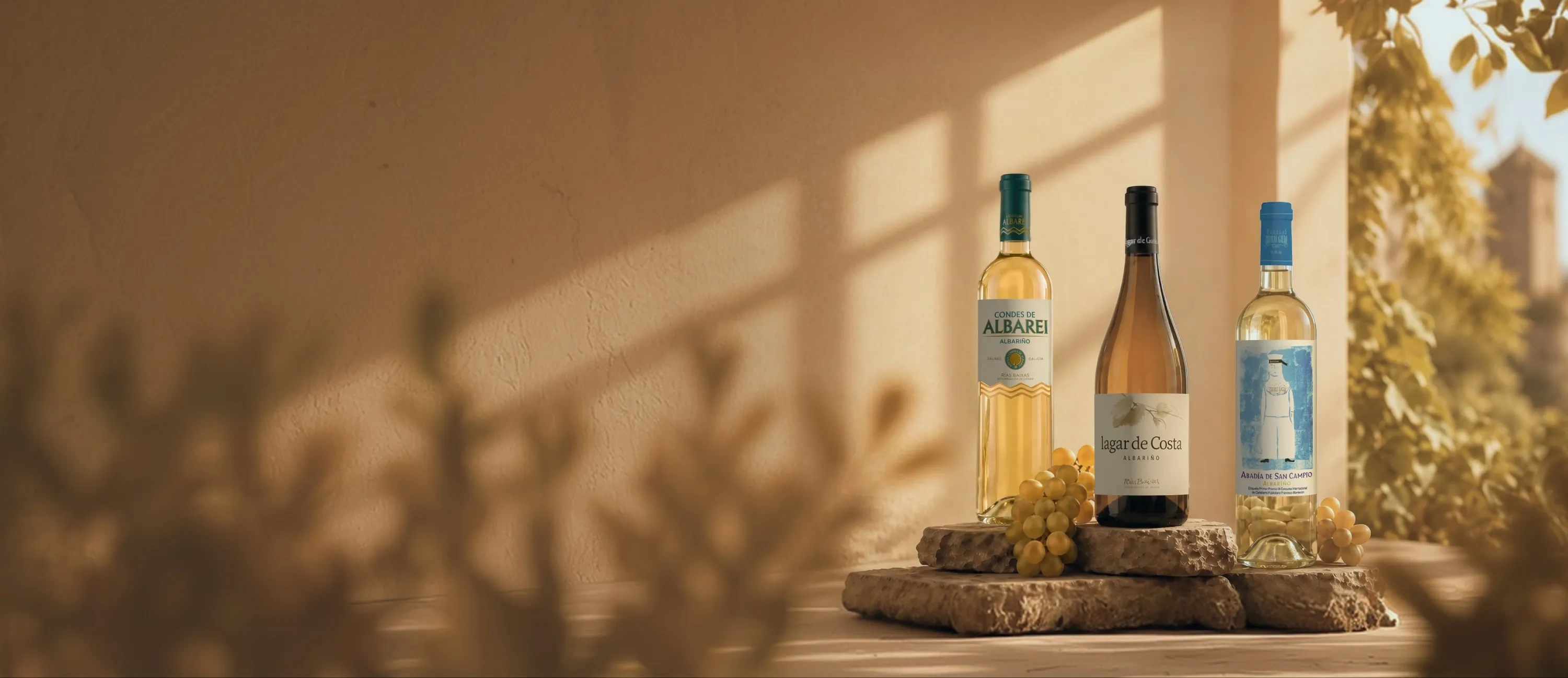 Garrafas de vinho Albariño, vencedoras da XV Edição do Túnel do Vinho Profissional