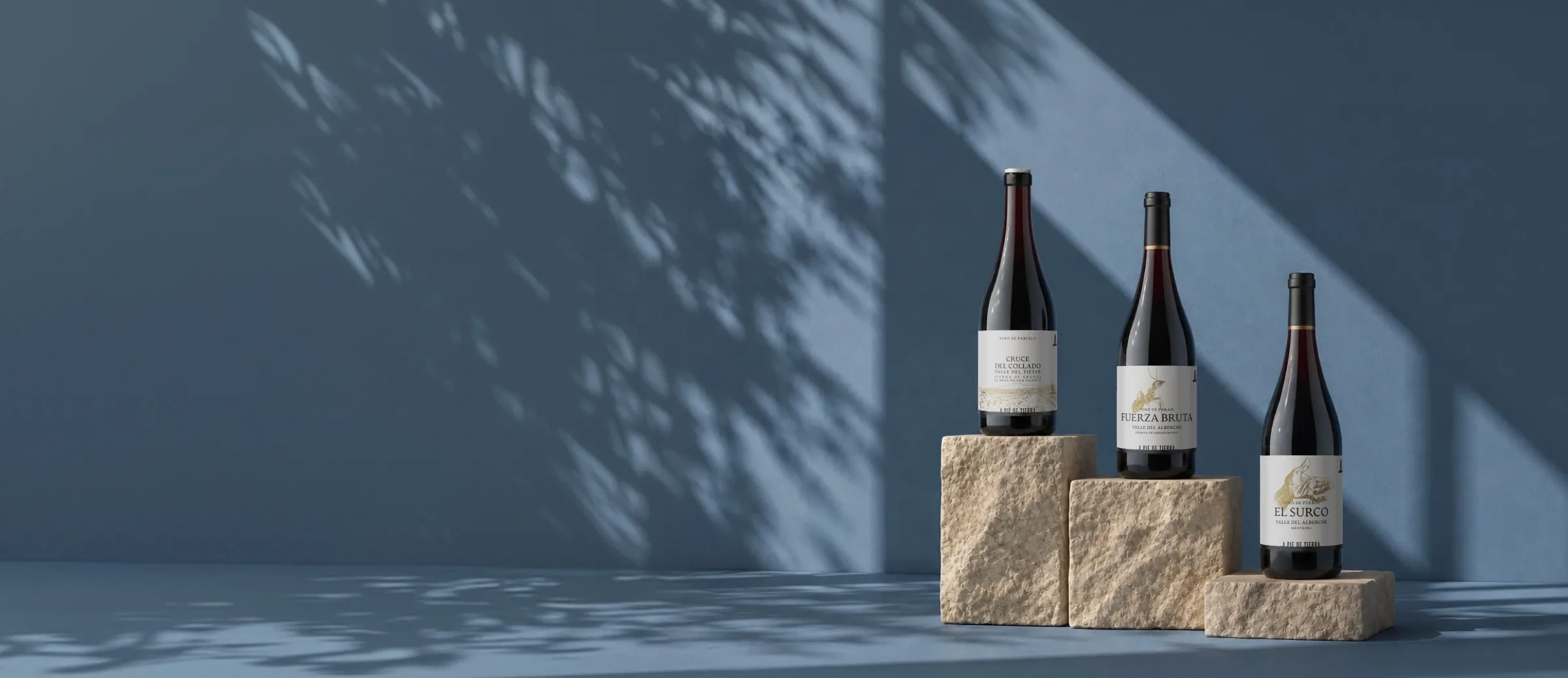 Garrafas de vinho da adega A Pie de Tierra