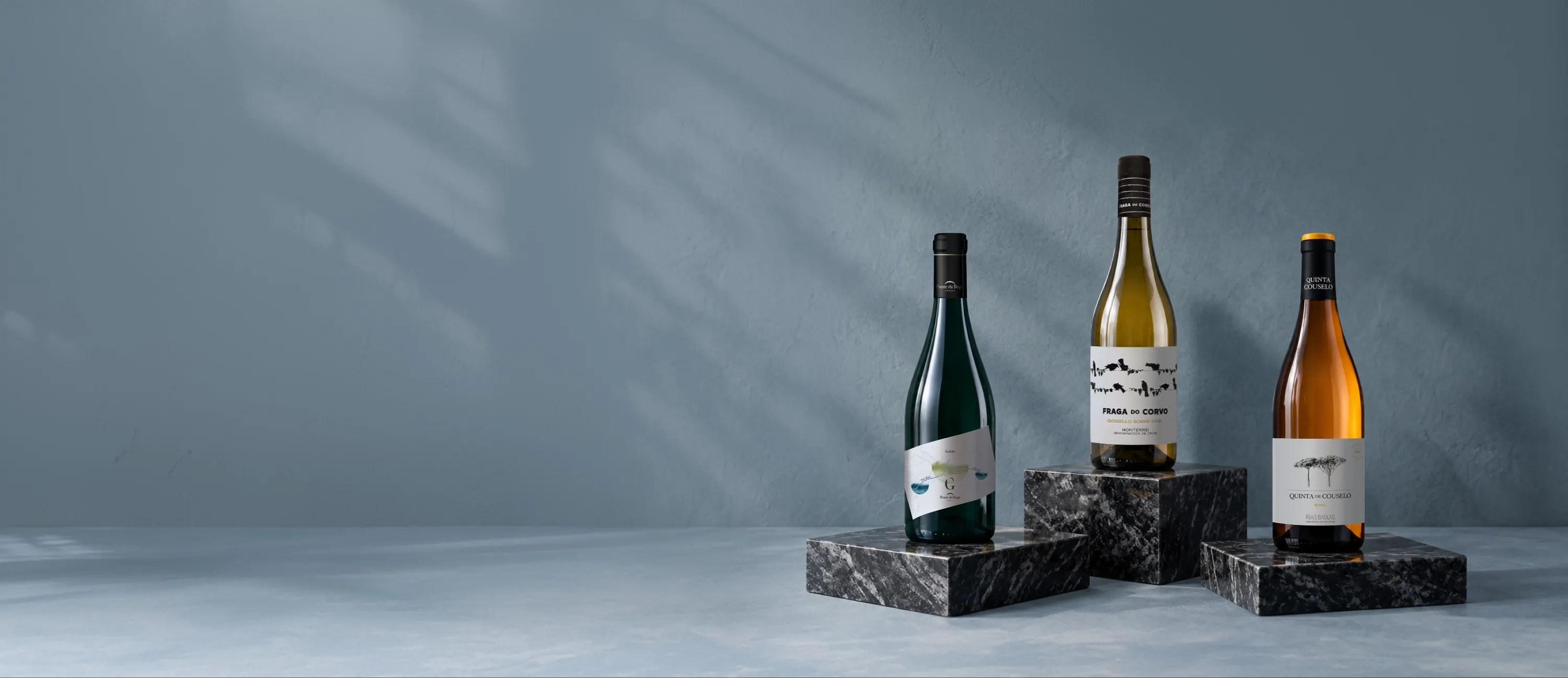 Garrafas de vinho Grandes Pagos Gallegos