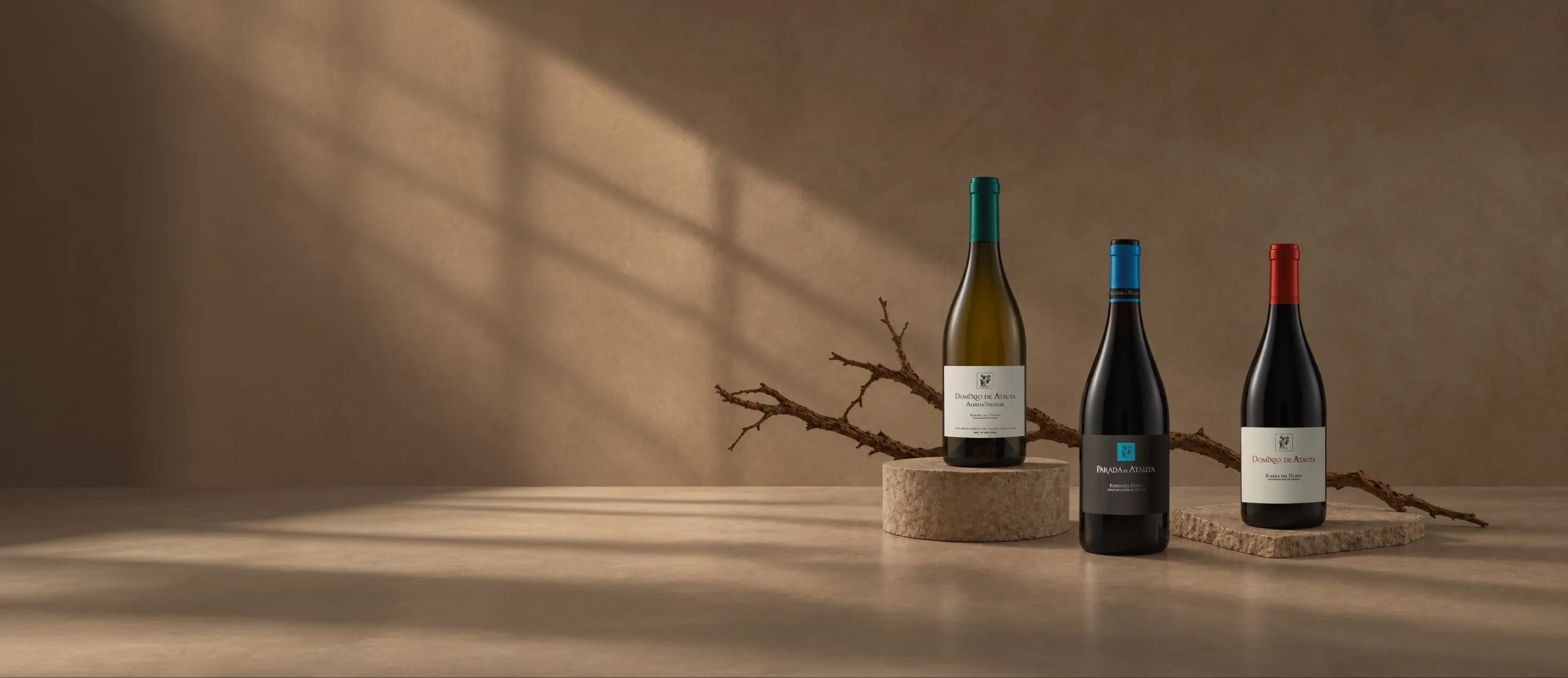 Garrafas de vinho da adega Dominio de Atauta