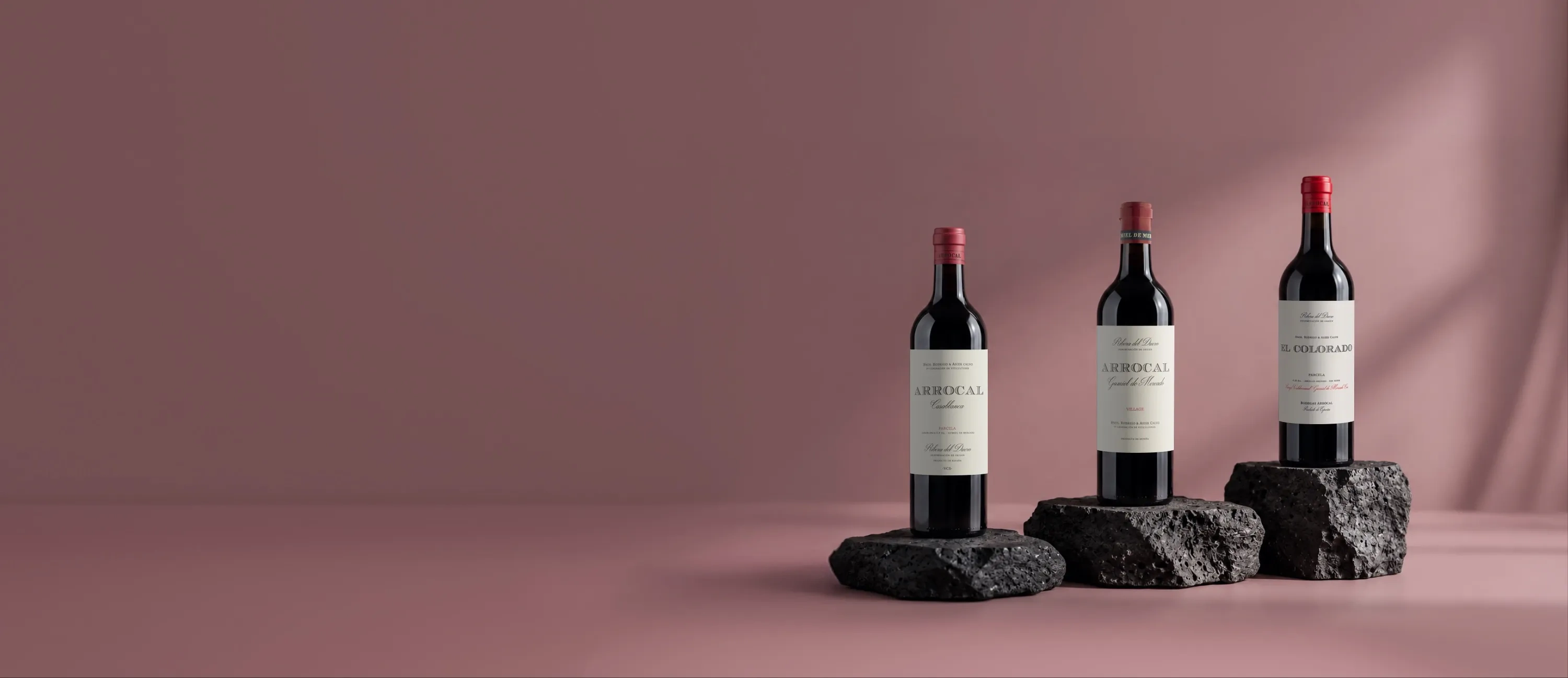 Garrafas de vinho da adega Arrocal