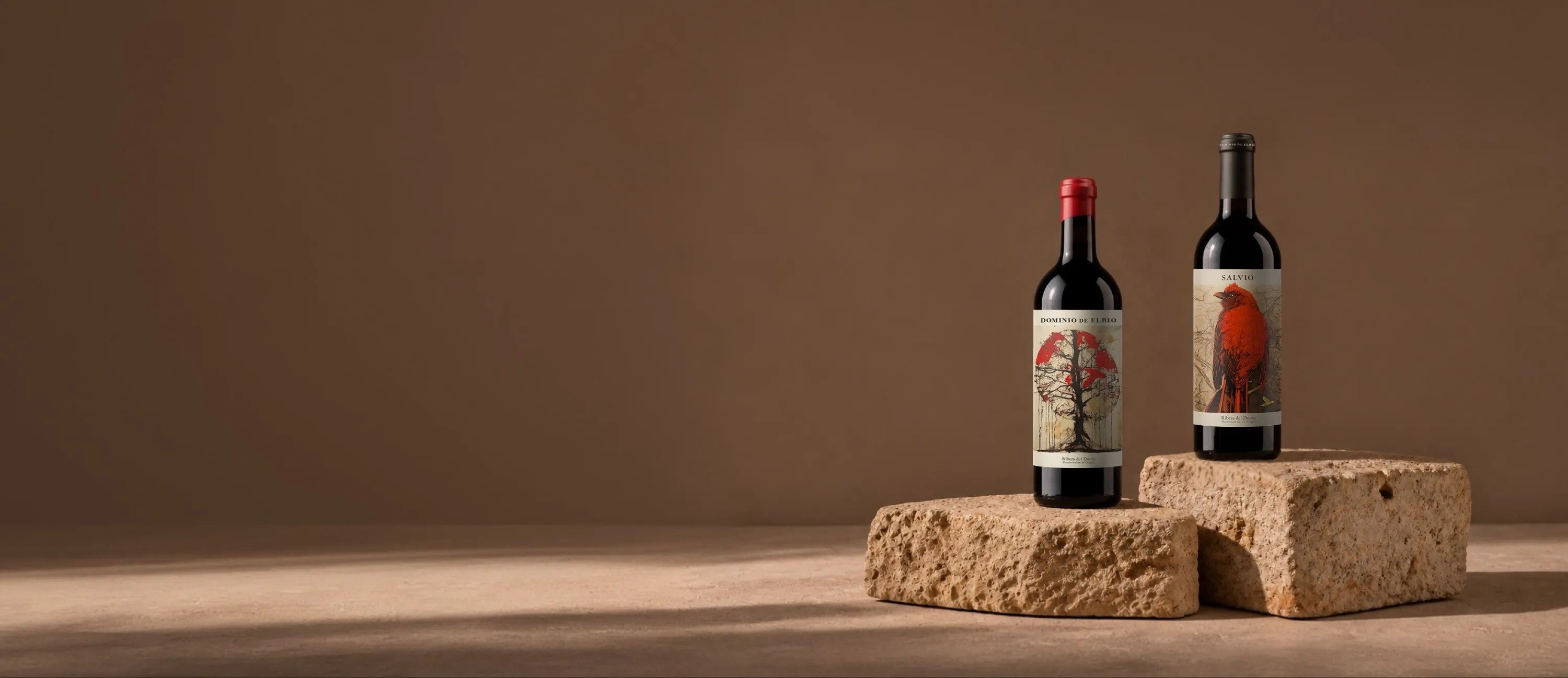 Garrafas de vinho da adega Dominio de Elbio