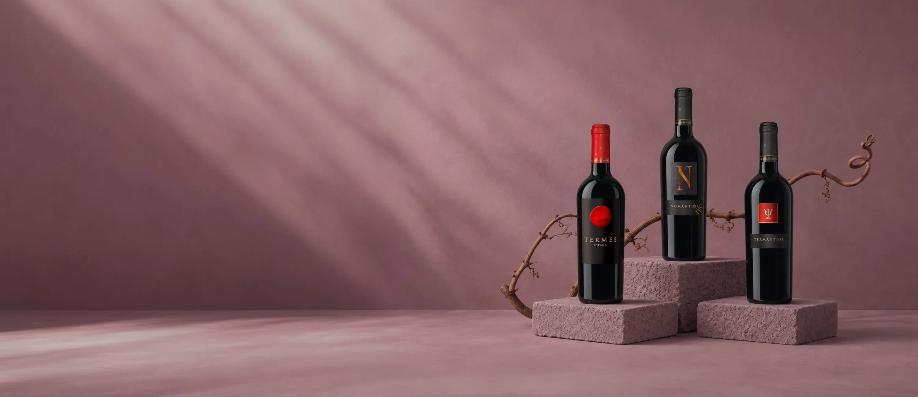 Garrafas de vinho da adega Numanthia