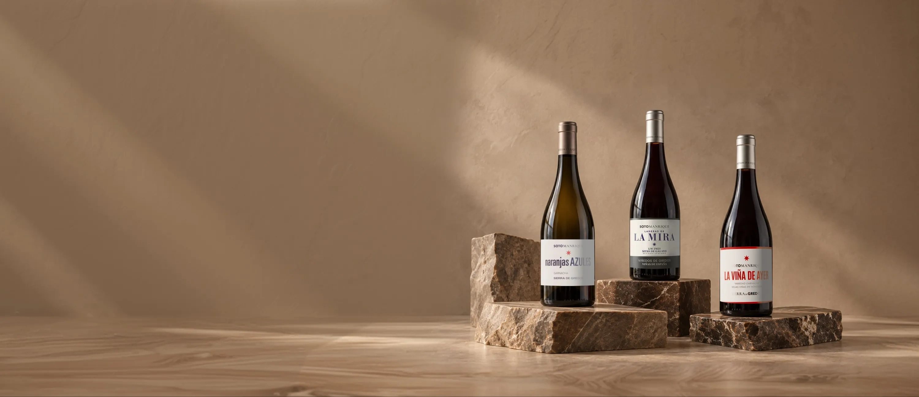 Garrafas de vinho da adega SotoManrique
