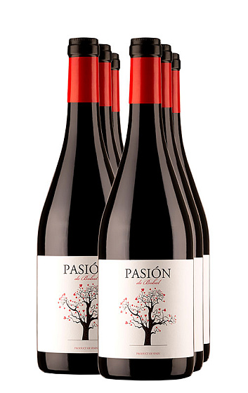 Pasión de Bobal Tinto 2016 (x6)