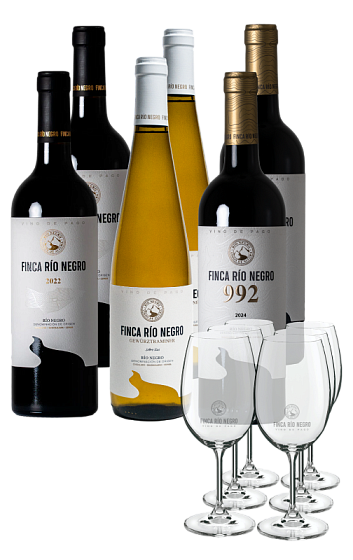 Produto: Finca Río Negro 2022 (x2), 992 2024 (x2) e Gewürztraminer 2025 (x2) com 6 copos