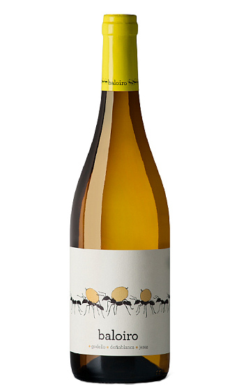 Baloiro Blanco Hormigas 2017
