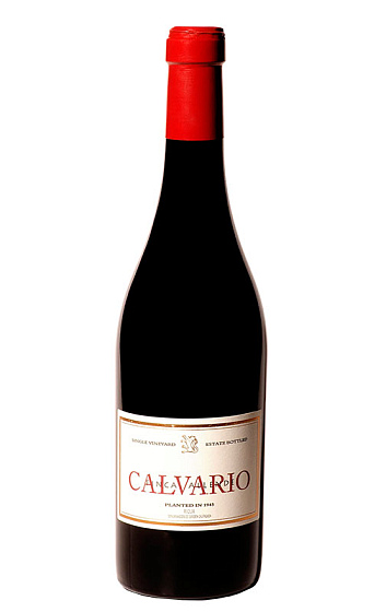 Calvario 2009