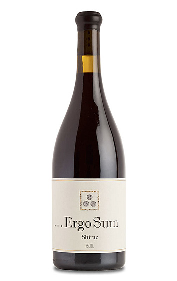 Ergo Sum 2011