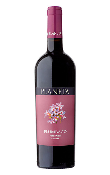 Planeta Plumbago 2020