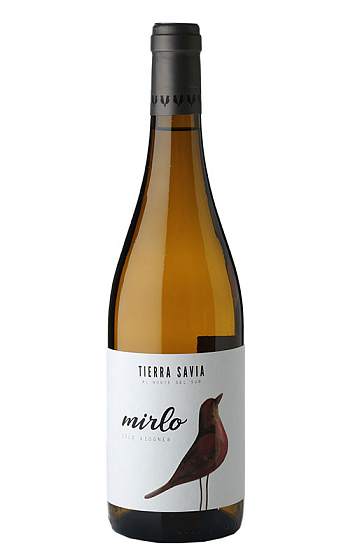 Mirlo Barrica 2019