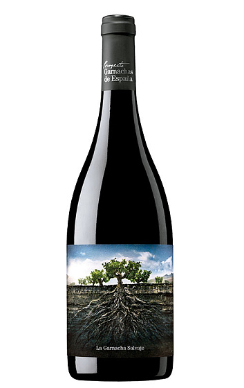 Garnacha Salvaje del Moncayo 2019