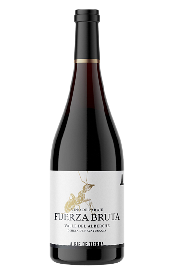 Produto: Fuerza Bruta 2024