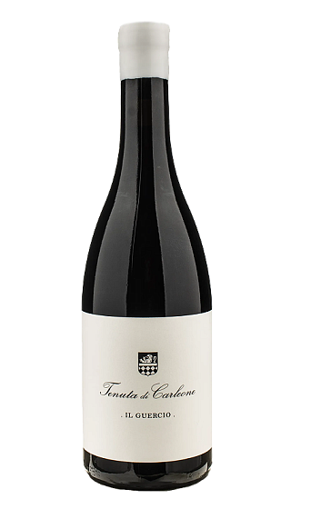 Produto: Tenuta di Carleone Il Guercio 2023
