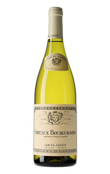 Produto: Louis Jadot Coteaux Bourguignons Blanc 2024