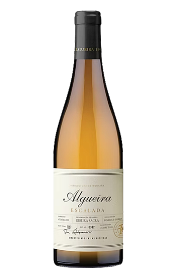Produto: Algueira Escalada 2024