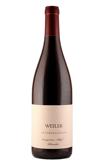 Produto: Weingut am Schlipf Schneider Weil am Rhein Ortswein Spätburgunder 2023