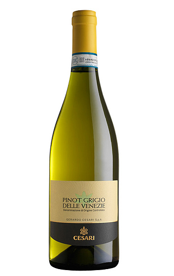 Produto: Cesari Pinot Grigio Delle Venezie 2025