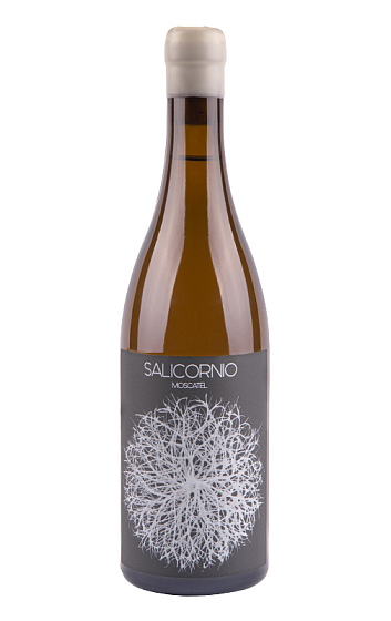 Produto: Casa Balaguer Salicornio Moscatel 2025