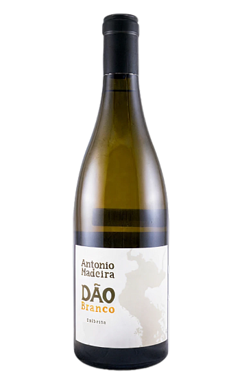 Produto: António Madeira Branco 2024