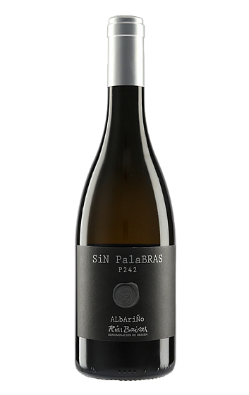 Produto: Sin Palabras P 242 2024
