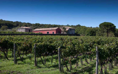 Bodega y viñedos sicilianos