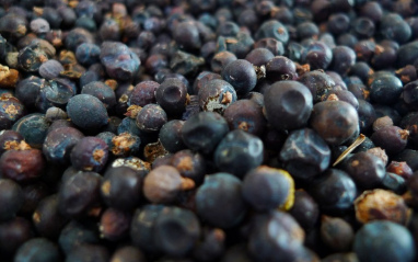 9 botánicos de fruta entera se destilan en pequeños alambiques