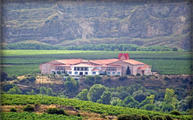 Panorámica de la bodega