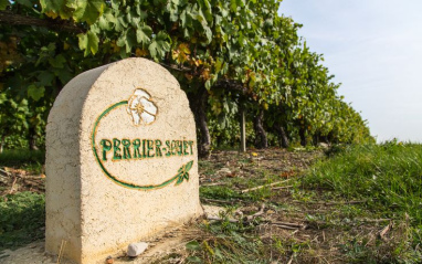 Indicación de Perrier-Jouët en sus viñedos