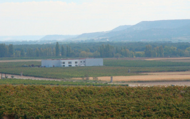 Panorámica de la bodega alrededor de las viñas