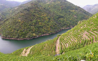 Panorámica de los cañones del río