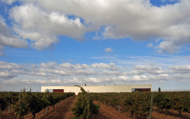 En el campo