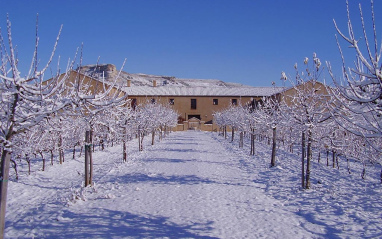 Viñedos nevados