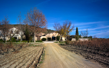 Vista de viñedos con la bodega al fondo