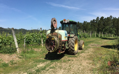 Labores de tratamiento en viñedo