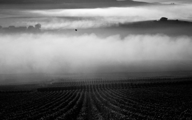 Niebla levantándose