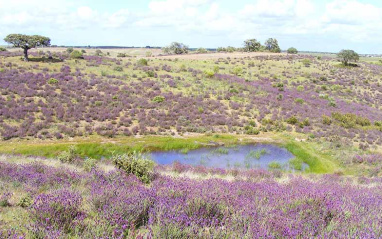 Paisaje del entorno