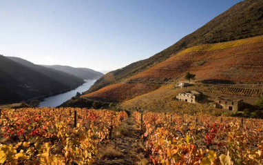 Quinta dos Murças en el Valle del Duero 