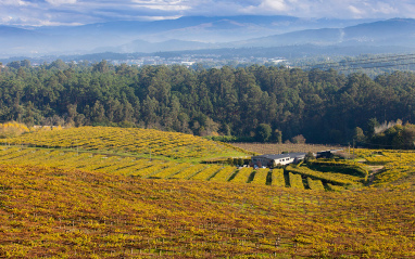 Entorno de bodega