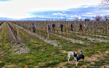 Trabajo a pie de campo en Finca la Emperatriz