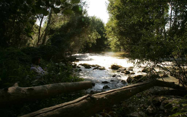 Río Duero debajo del viñedo 