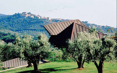 Paisaje en Ca´Marcanda (Toscana)