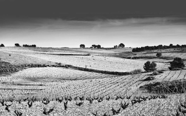 Foto artística del monte "De Cerezo"