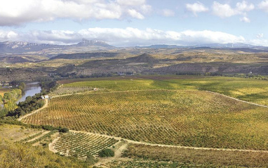 Vista aérea de Viña Lanciano