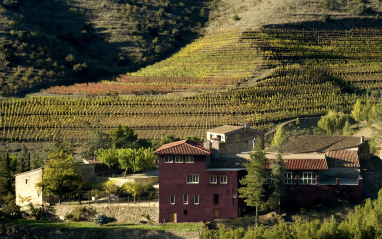 Imagen de la bodega de Montsant