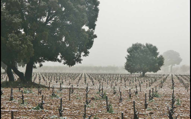 Paisaje de invierno