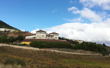 Panorámica del Valle de Nekeas con la bodega al fondo