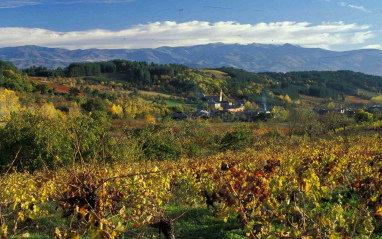 Paisaje berciano