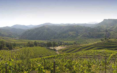 Panorámica del Priorat